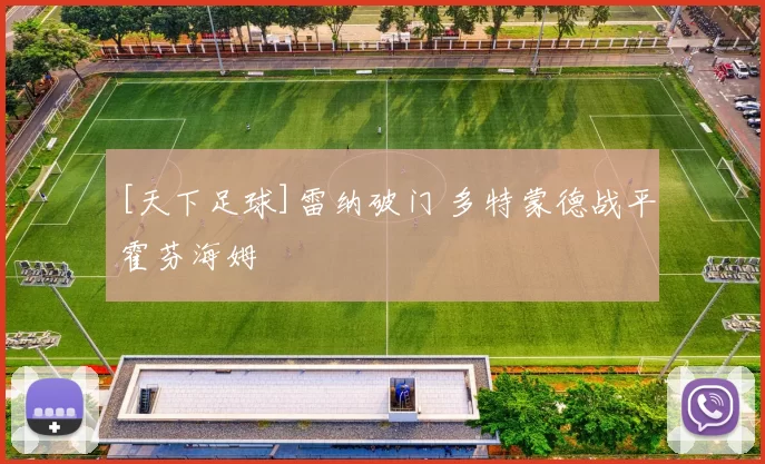[天下足球]雷纳破门 多特蒙德战平霍芬海姆