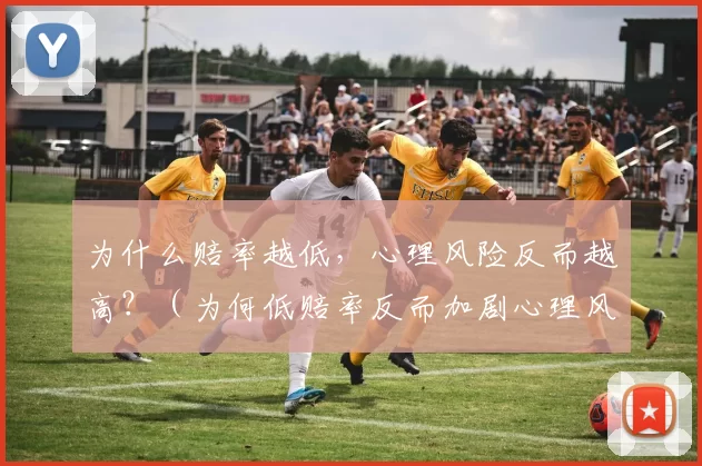 为什么赔率越低，心理风险反而越高？（为何低赔率反而加剧心理风险？）