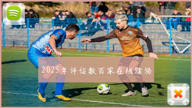 2025年评估数百家在线赌场